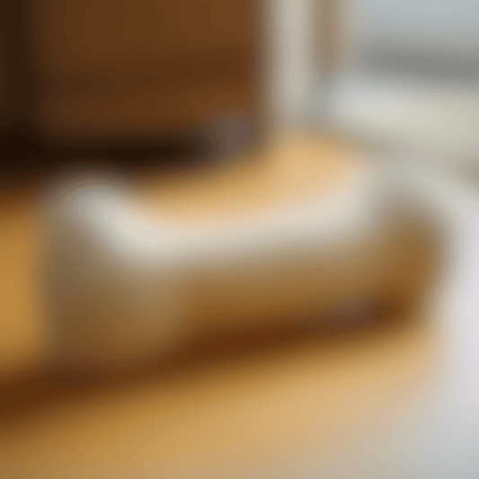 Plush Bone Dog Toy - Coming Soon